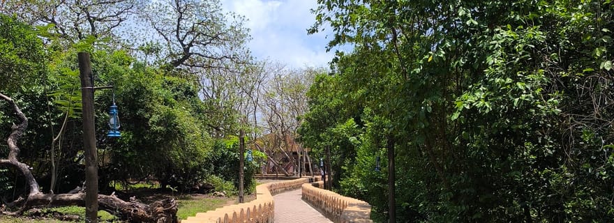 Visite de Stone Town, Prison Island et Nakupenda Sandbank