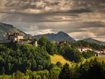 Lucerne:Private Car Tour- Gruyeres,Vevey,Montreux & Fribourg