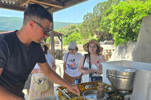 Zagreb: 10-Day Guided Tour to Dubrovnik with Tickets