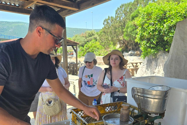 Zagreb: 10-Day Guided Tour to Dubrovnik with Tickets