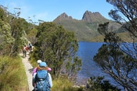 Cradle Mountain, viaje de un día desde Launceston con el almuerzo - Housity