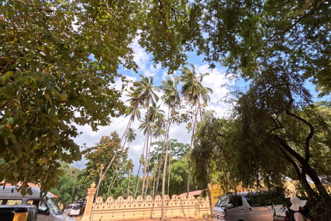 From Kandy: Sigiriya & Dambulla Day Tour with Safari