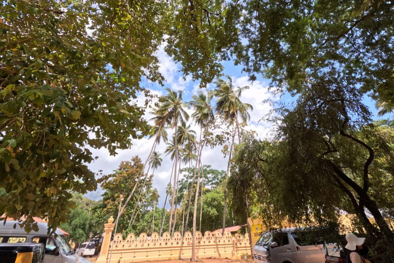 From Kandy: Sigiriya & Dambulla Day Tour with Safari