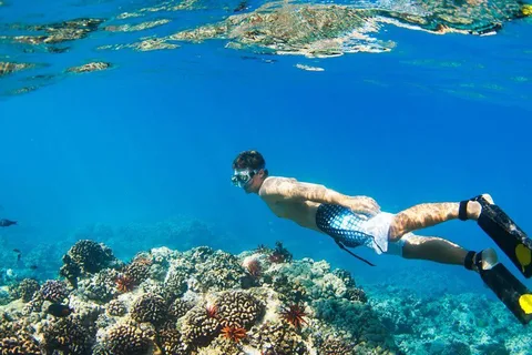 Banyuwangi: Tour di 1 giorno per lo snorkeling e l'esplorazione dell'isola di Menjangan