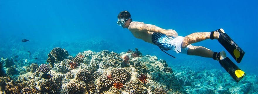 Banyuwangi : 1 journée de visite à la plongée en apnée et à l'exploration de l'île de Menjangan