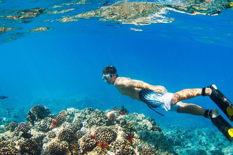Banyuwangi: 1 Day Tour Snorkeling & Explore Menjangan Island From Banyuwangi : Snorkeling Menjangan Island drop off Bali
