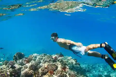 Banyuwangi : 1 journée de visite à la plongée en apnée et à l'exploration de l'île de Menjangan