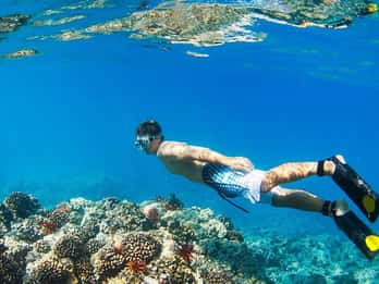 Banyuwangi: 1 Day Tour Snorkeling & Explore Menjangan Island