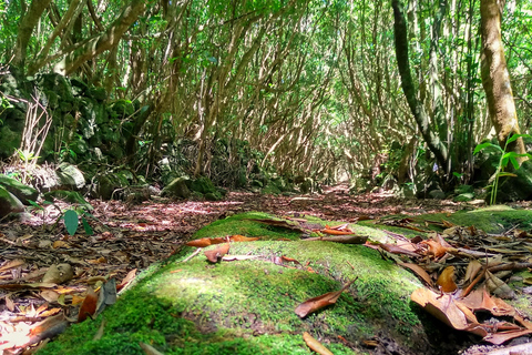 Excursión en jeep de 1 día por la isla de Pico - Azores.Excursión de 1 día en jeep por la isla de Pico - Azores