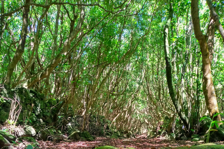 Excursión en jeep de 1 día por la isla de Pico - Azores.Excursión de 1 día en jeep por la isla de Pico - Azores