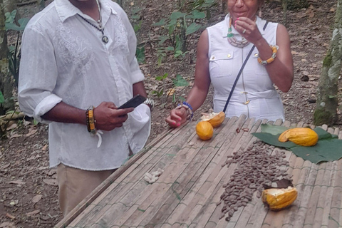 Nature Thrills; Aburi Gardens, Tetteh Quashie Cocoa Farm