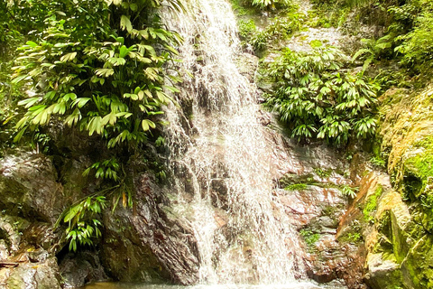 Minca Trip: Two Waterfalls with a Local Guide Minca Trip: Two Waterfalls Tour with a Local Guide