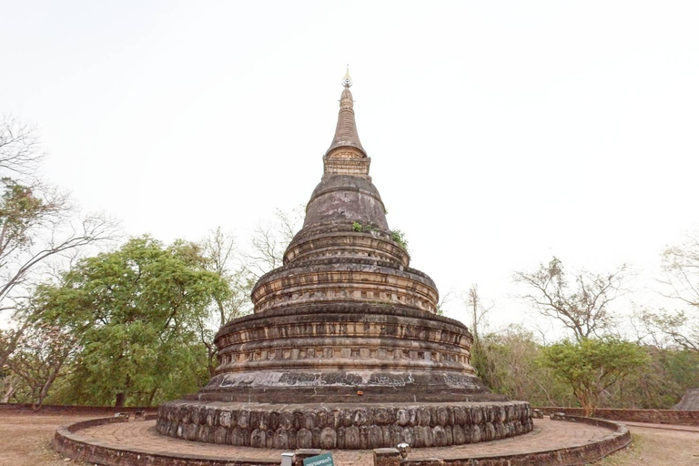 Chiang Mai: Tempel, natuur en cultuur in één dag.Olifantenopvang en Doi Suthep Tour.