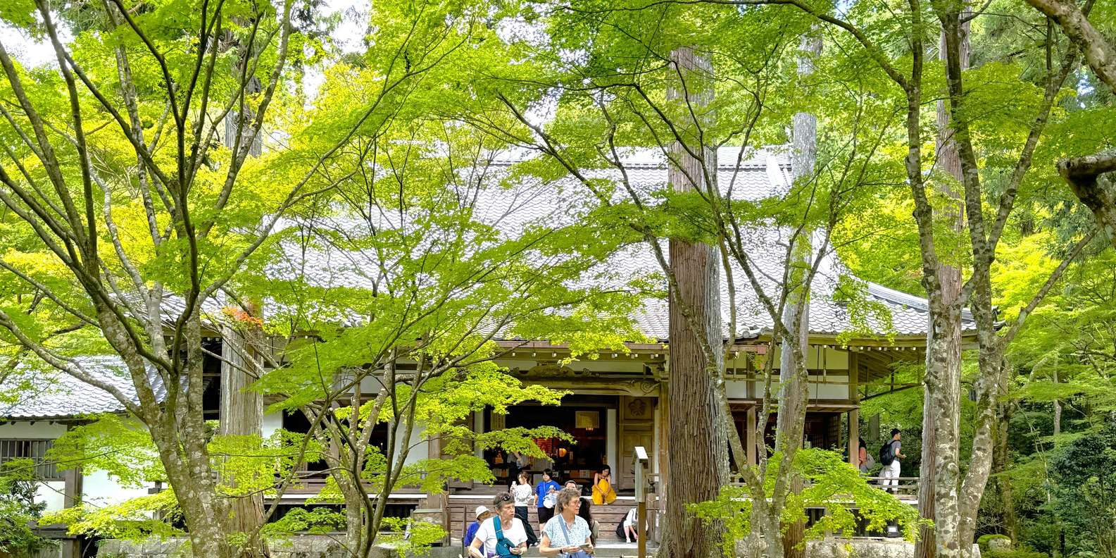 Kyoto: The Hidden Sanctuary of Sanzen-in Temple