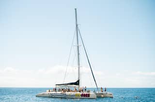Funchal: paseo en catamarán con avistamiento de delfines y ballenas