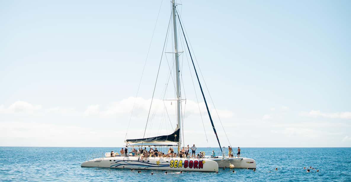 Day-cruise boats at Funchal Marina on a boat tour from Madeira, Portugal