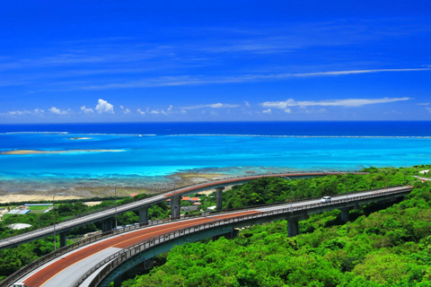 那霸：冲绳南部，风光旖旎，采摘乐趣，烧烤午餐那霸：冲绳南部，观景，采摘水果，烧烤午餐