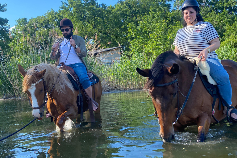 جولة لركوب الخيل بالقرب من براغجولة ركوب الخيل بالقرب من براغ