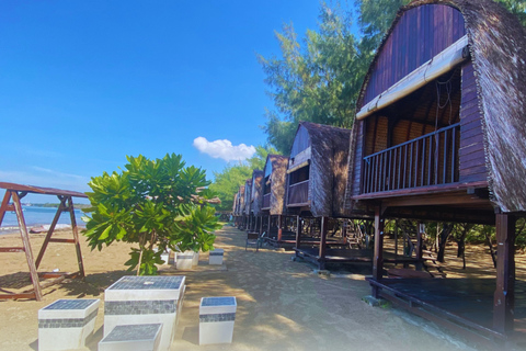 Bali: Sanur Highlights & Turtle Conservation Tour with Lunch Private Tour with Hotel Transfer from Bali