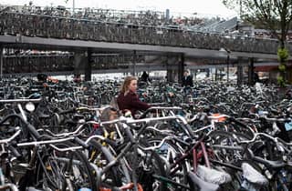Amsterdam: Geführte Radtour (Schloss Muiderslot)