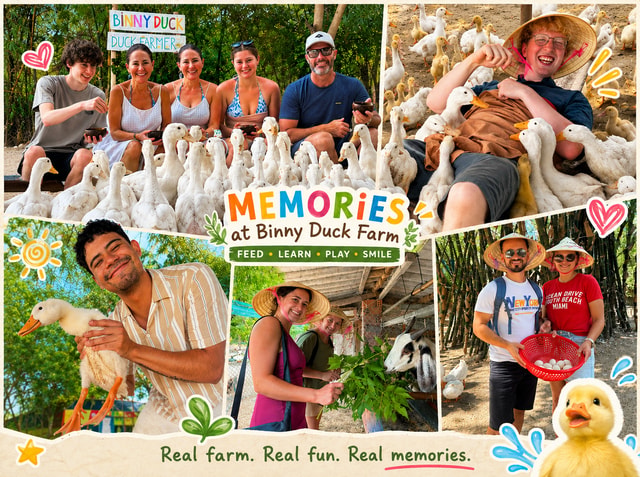 Hoi An: Duck Farm Experience with Duck Massage & Hatchery