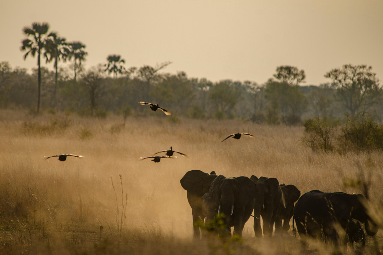 4-Day Four Countries - Zimbabwe, Zambia, Botswana & Namibia