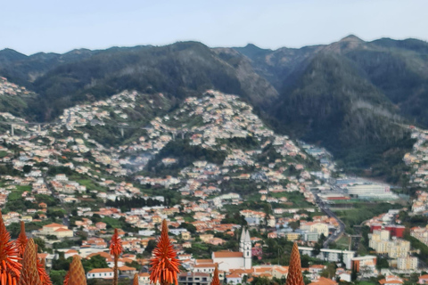 فونشال: جولة عائلية في جزيرة ماديراجولة عائلية في جزيرة ماديرا