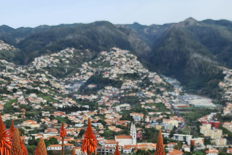 فونشال: جولة عائلية في جزيرة ماديراجولة عائلية في جزيرة ماديرا