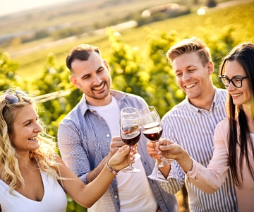 Santiago: World-class Wines, Visit to 4 Vineyards and Tanino