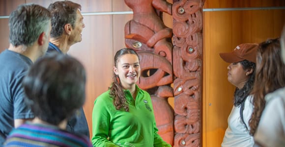 Wellington: Museum of NZ Führung & allgemeiner Eintritt