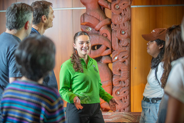 Wellington: tour introduttivo al Museo della Nuova Zelanda e ingresso generale