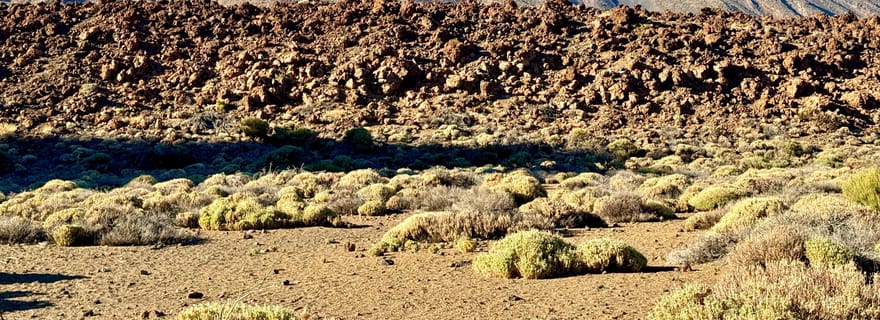 Visite privée de Tenerife : parc national du Teide + restaurant