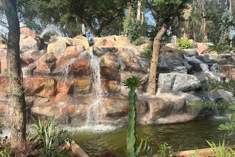 Addis Ababa: Bora Park & Bulbula Guided Tour with Pickup