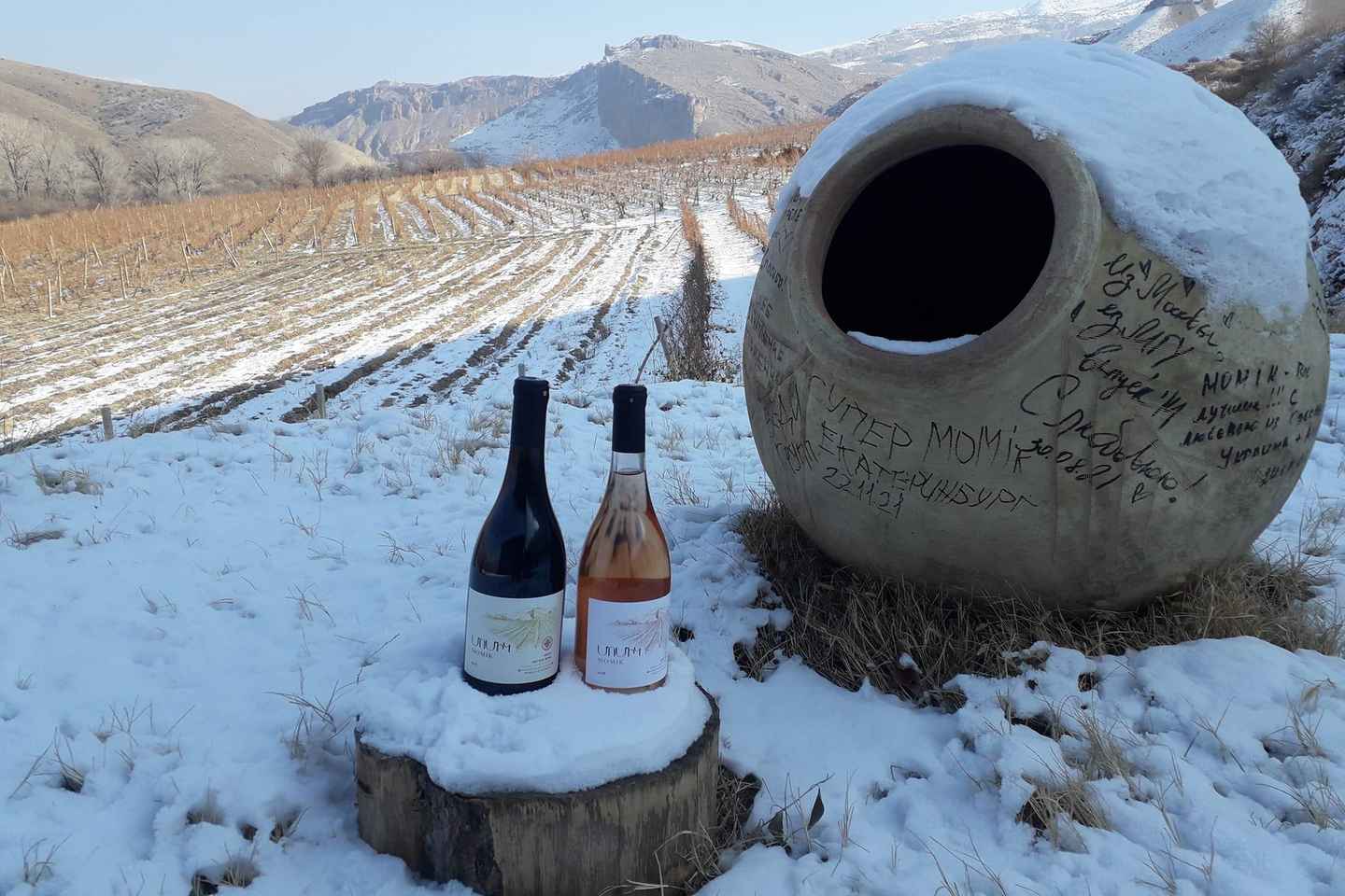 Vayots Dzor Wine Route Day Tour, discover Areni's Wineries