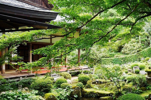 Visita de un día a Kioto, Nara, Santuario de Fushimi Inari y Arashiyama