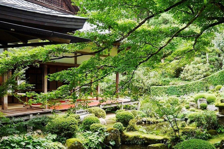 Jednodniowa wycieczka do Kioto, Nara, świątyni Fushimi Inari i Arashiyama