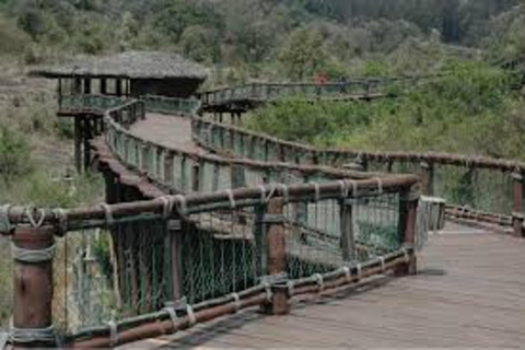 Nairobi : visite d&#039;une demi-journée Safari Walk