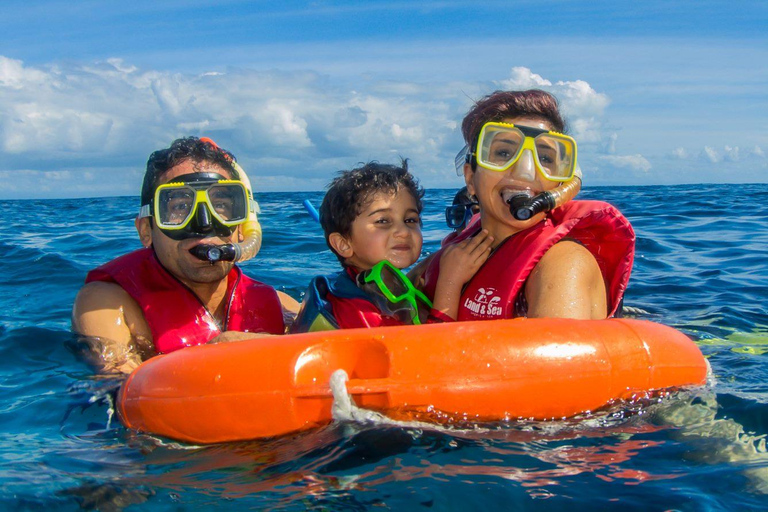 Cairns: Best Value All-inclusive Reef Trip With Scuba Dive