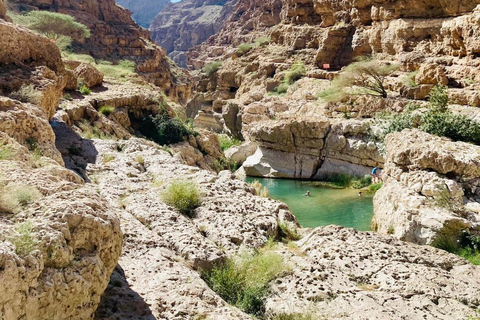 Mascate: Dia inteiro em Wadi Shab e Bimmah Sinkhole + almoço grátis