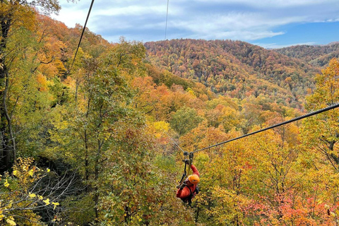 Saluda: Zipline Canopy Tour with Rappels and Skybridge