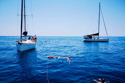 Check out the magic of sailing: a boat tour in Catania Discover the magic of sailing: a boat tour in Catania