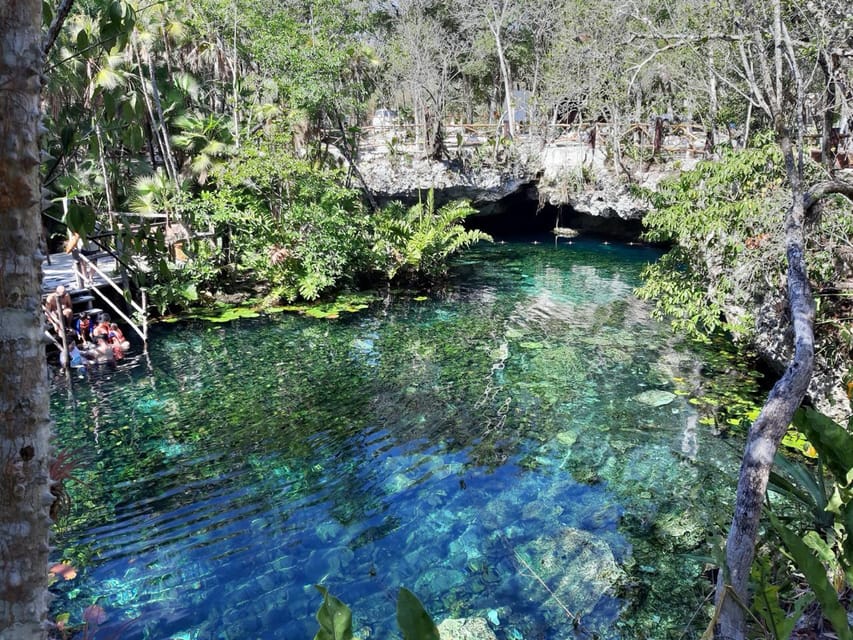 From Riviera Maya: 3 Cenotes Snorkeling Tour | GetYourGuide