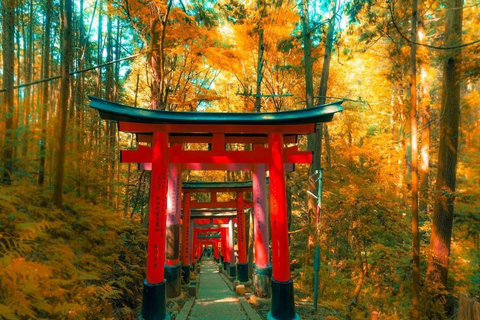 Kyoto & Nara Private Tour with English Speaking Guide