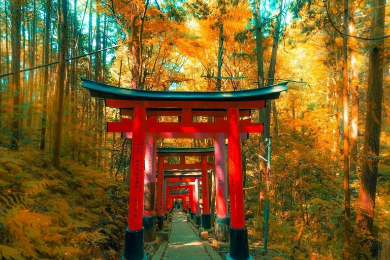 Kyoto & Nara Private Tour with English Speaking Guide