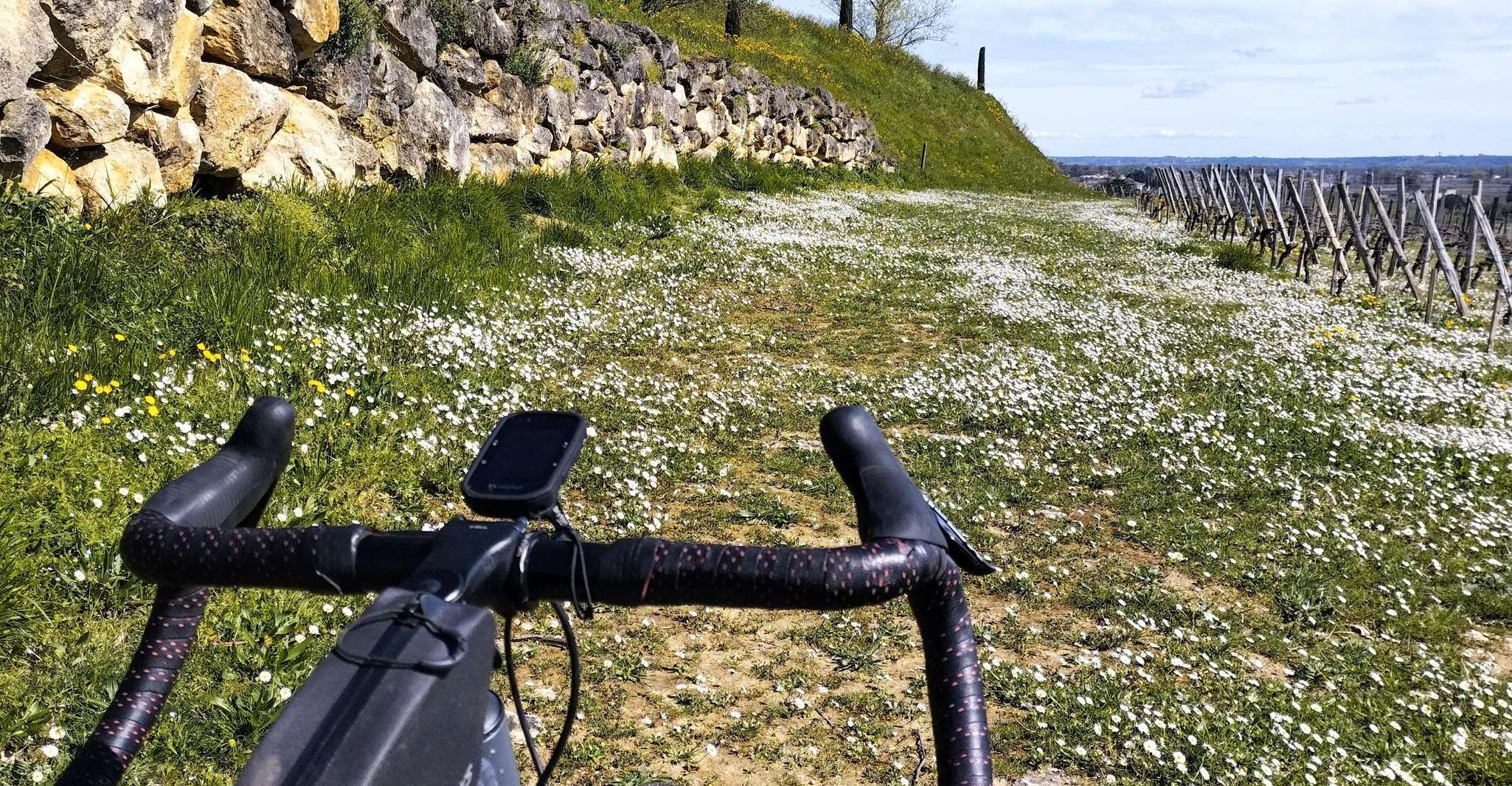 Saint-Émilion, Gravel bike tour, wine tasting & picnic - Housity