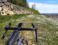 Saint-Émilion, Tour en bicicleta de grava, degustación de vinos y picnic - Housity