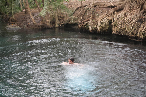 1 Day Private Cultural tour to Materuni Waterfalls & Chemka