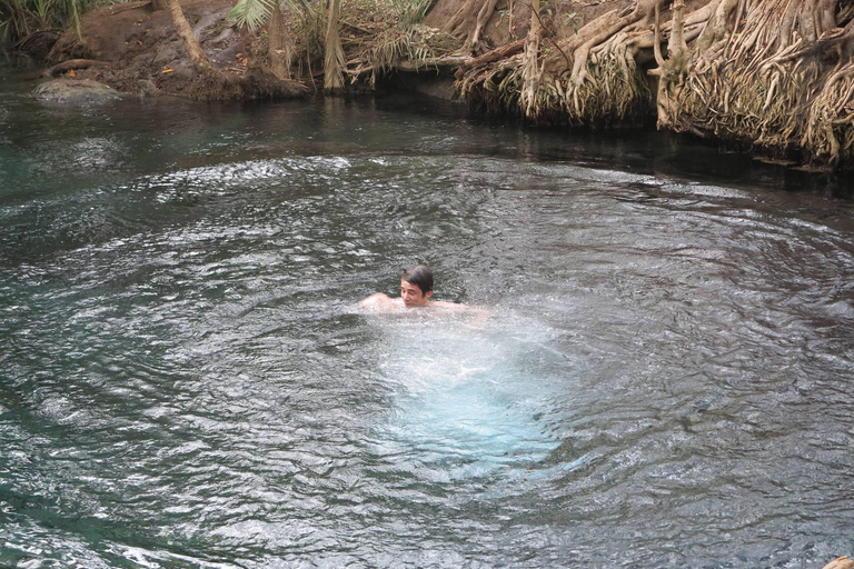 1 Day Private Cultural tour to Materuni Waterfalls & Chemka