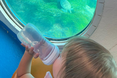 Paphos: Turtle Watching Cruise,Snorkelling Adventure &Sunset