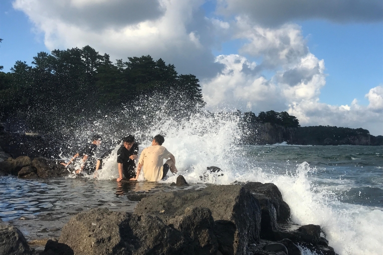 Île de Jeju : Visite guidée en van avec un guide qui aime le plus JEJU